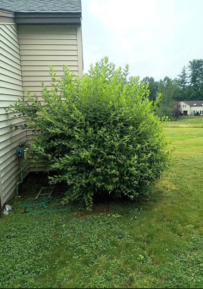 Before and after example - before