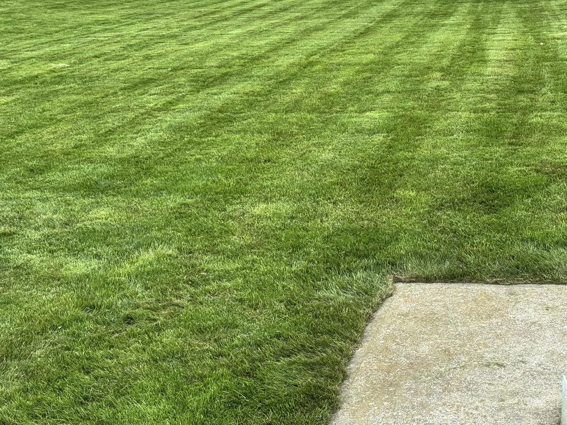 500785601 122128441358813898 8194667058262652082 n